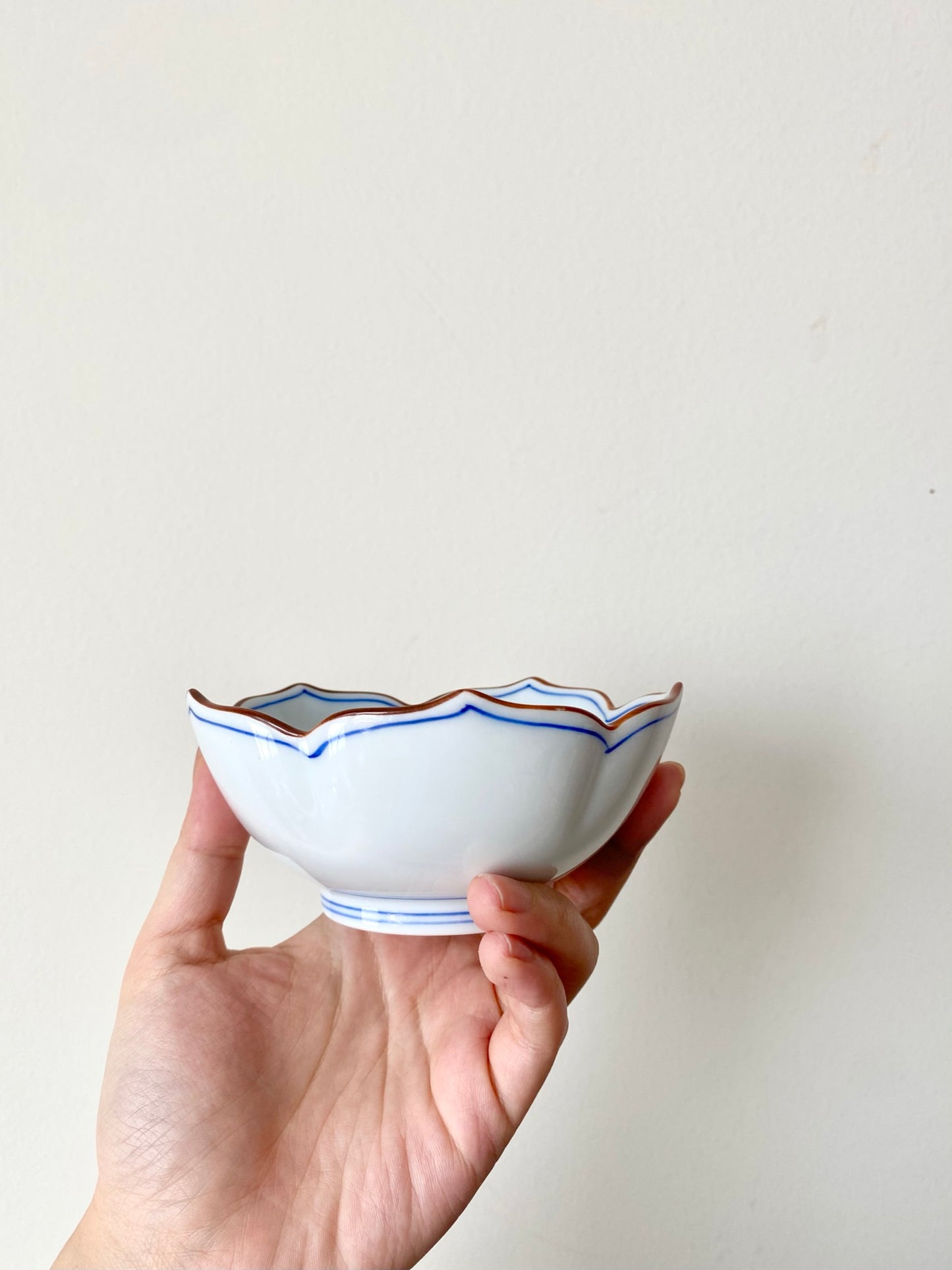Hand-painted Bellflower Plate & Bowl Hasami Ware