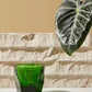 notNeutral VERO Cappuccino Glass